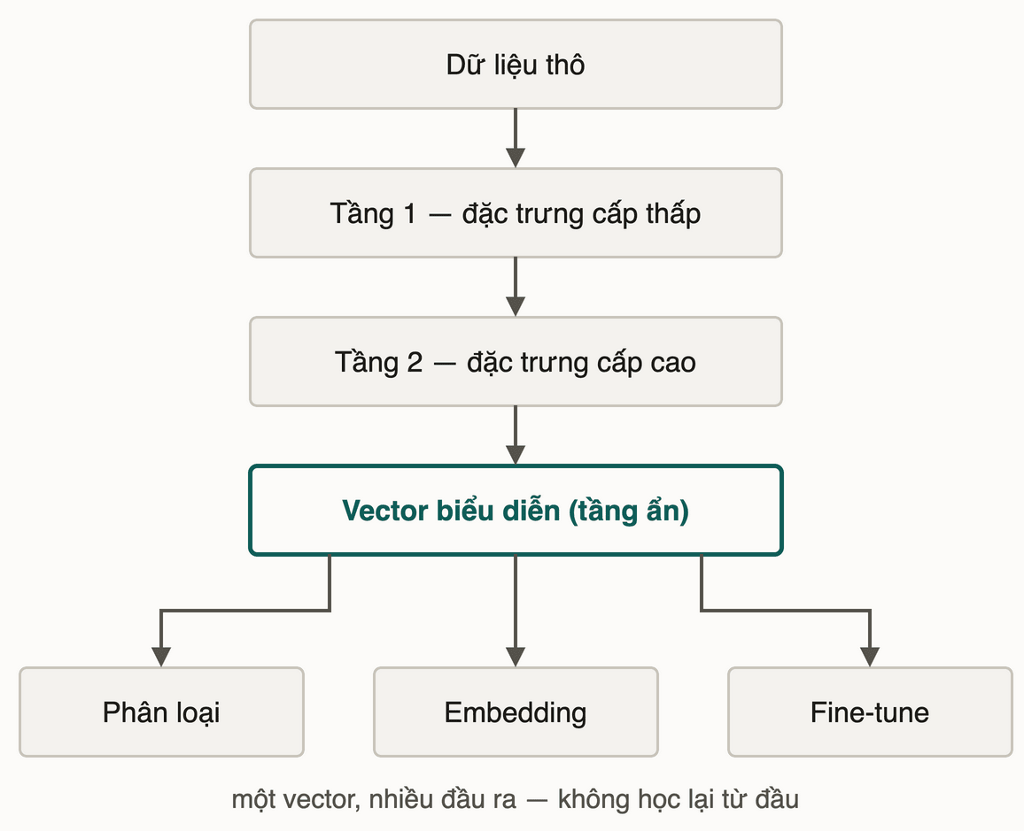 Chuỗi biến đổi: dữ liệu thô qua tầng 1 đặc trưng cấp thấp, tầng 2 đặc trưng cấp cao, thành vector biểu diễn ở tầng ẩn — tái sử dụng cho phân loại, embedding, fine-tune