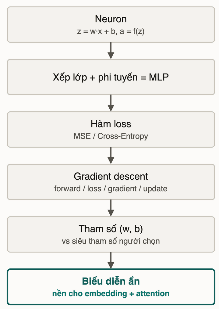 Chuỗi kiến thức module: neuron, xếp lớp cộng phi tuyến thành MLP, hàm loss MSE/Cross-Entropy, gradient descent, tham số vs siêu tham số, biểu diễn ẩn — nền cho embedding và attention