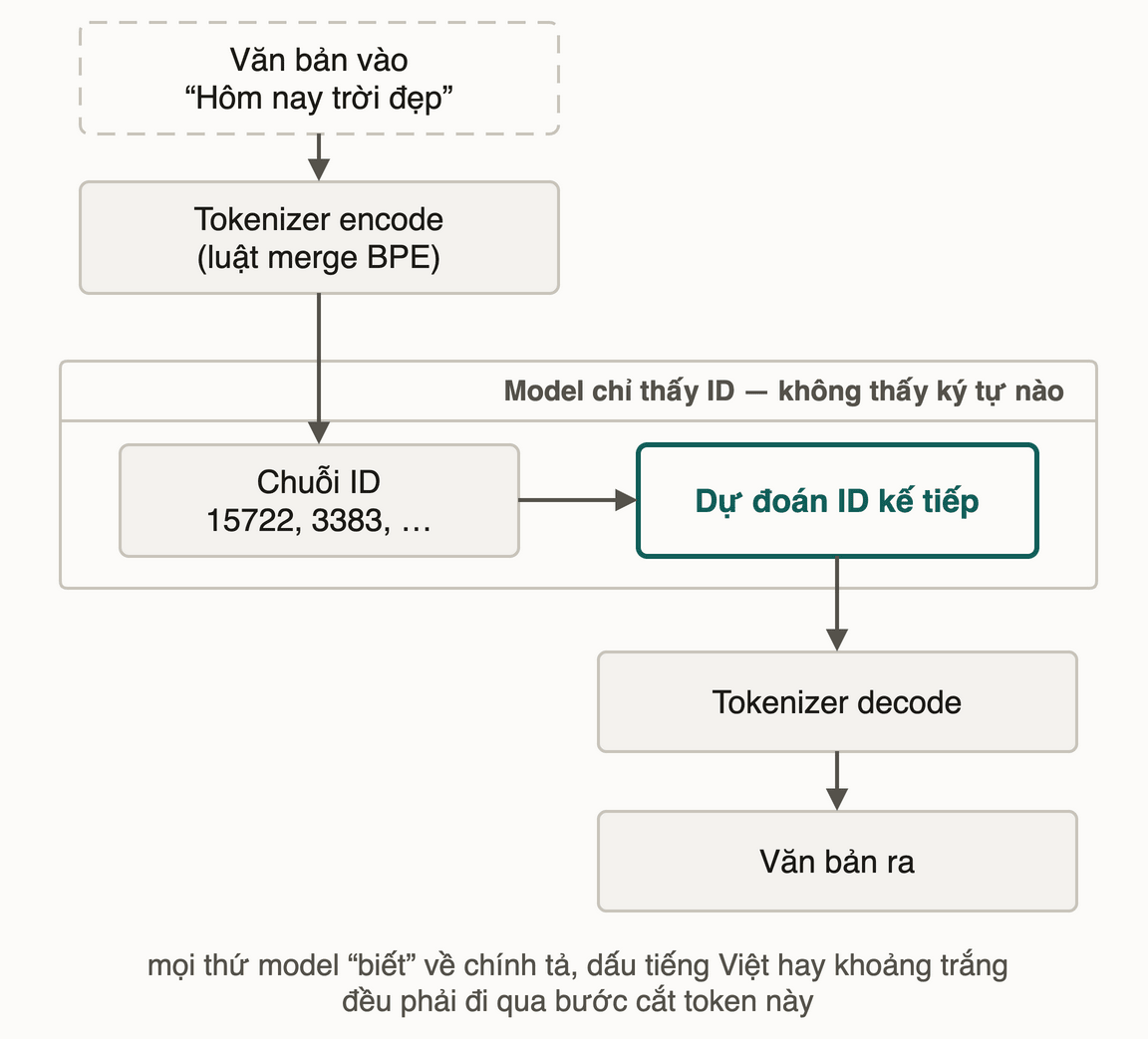 Chữ vào qua tokenizer encode thành chuỗi ID; trong khung, model chỉ thấy ID và dự đoán ID kế tiếp; tokenizer decode trả lại thành chữ