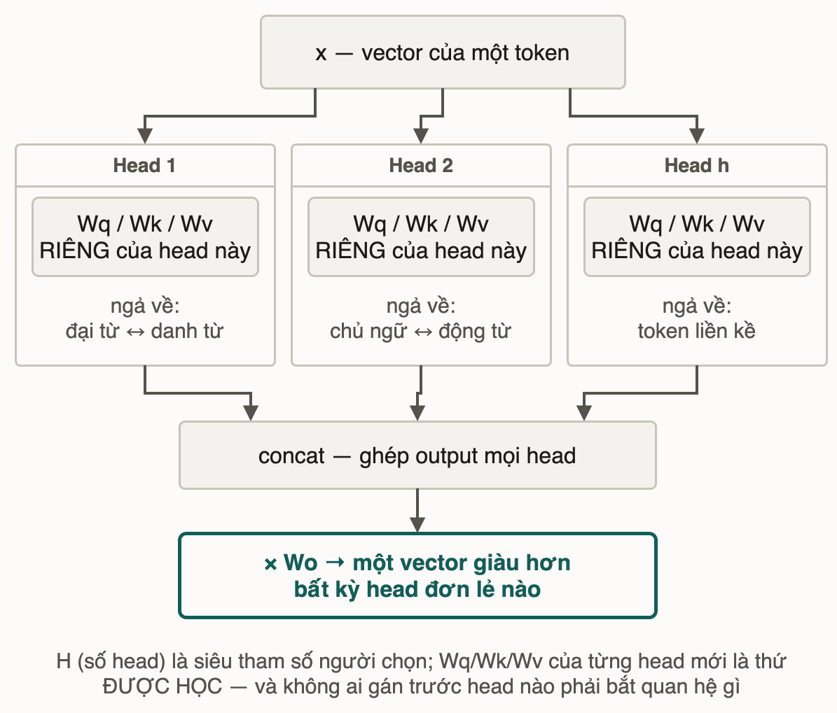 Cùng một vector token đi vào nhiều head song song, mỗi head có bộ chiếu Wq/Wk/Wv riêng và ngả về một kiểu quan hệ khác nhau; output các head được ghép rồi chiếu qua Wo