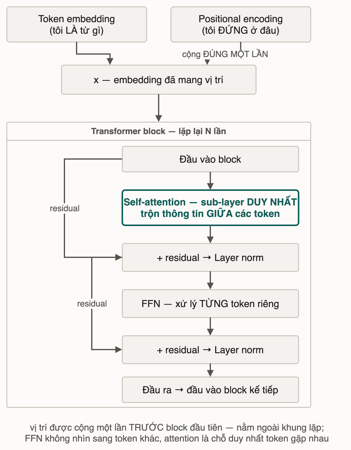 Token embedding cộng positional encoding đúng một lần, bên ngoài khung lặp; trong khung là self-attention rồi FFN, mỗi cái có một đường residual vòng qua và cộng lại kèm layer norm