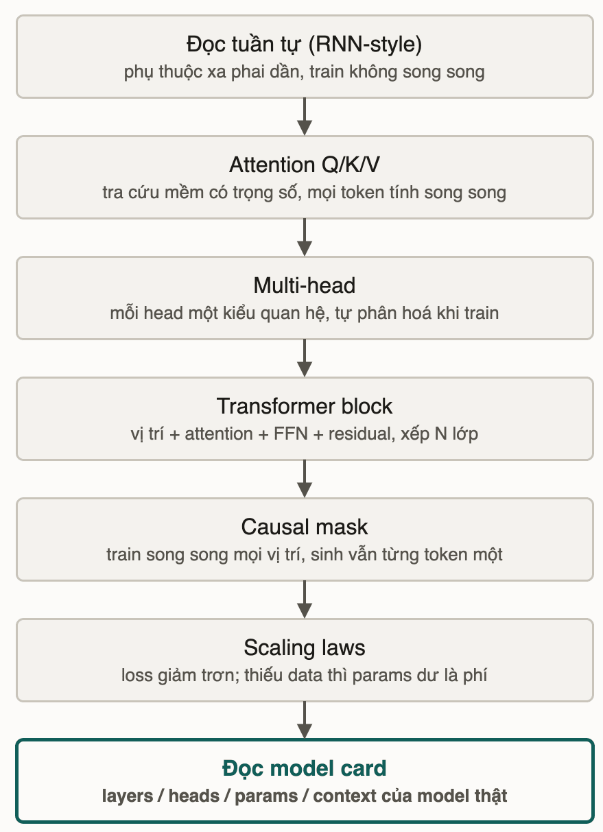 Chuỗi kiến thức module: đọc tuần tự, attention Q/K/V, multi-head, transformer block, causal mask, scaling laws, và đọc model card của một LLM thật