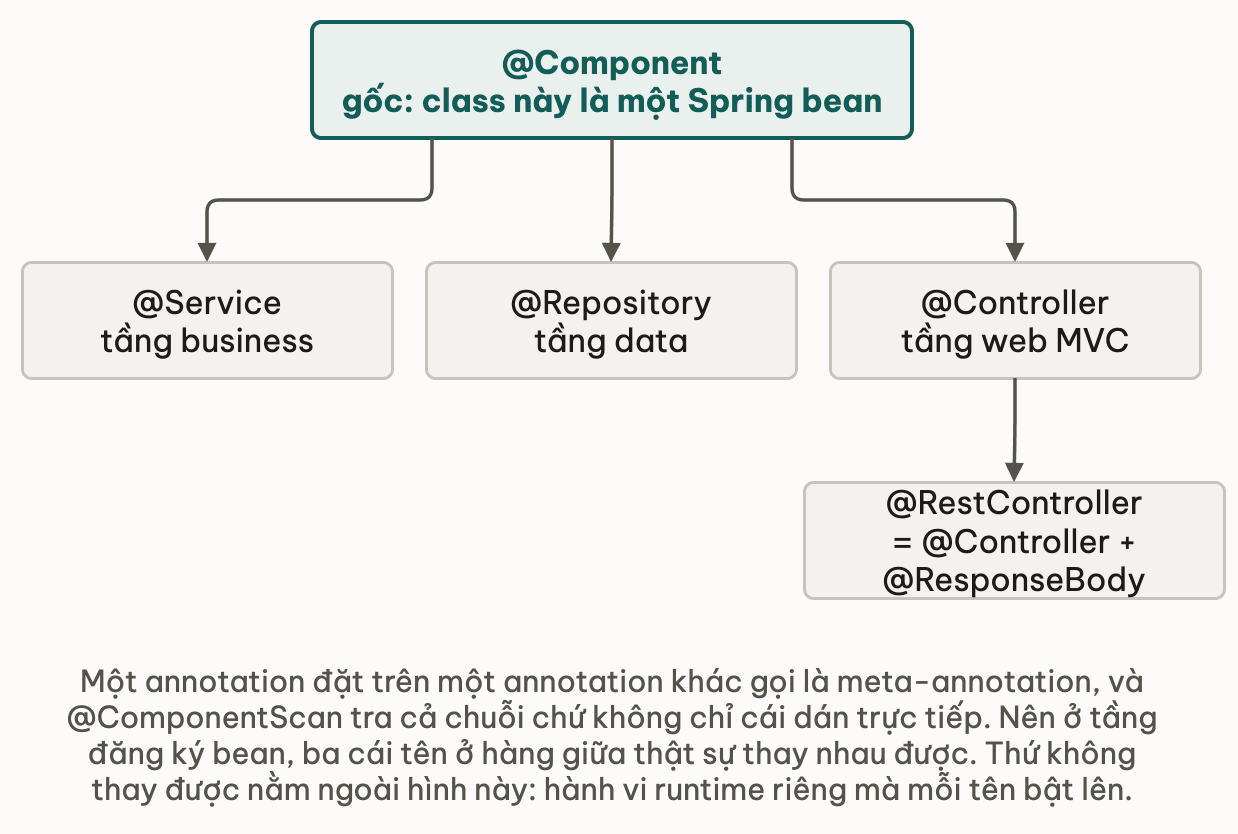 Cây một gốc: @Component ở trên, ba stereotype tầng ở dưới, @RestController đi thêm một bậc dưới @Controller