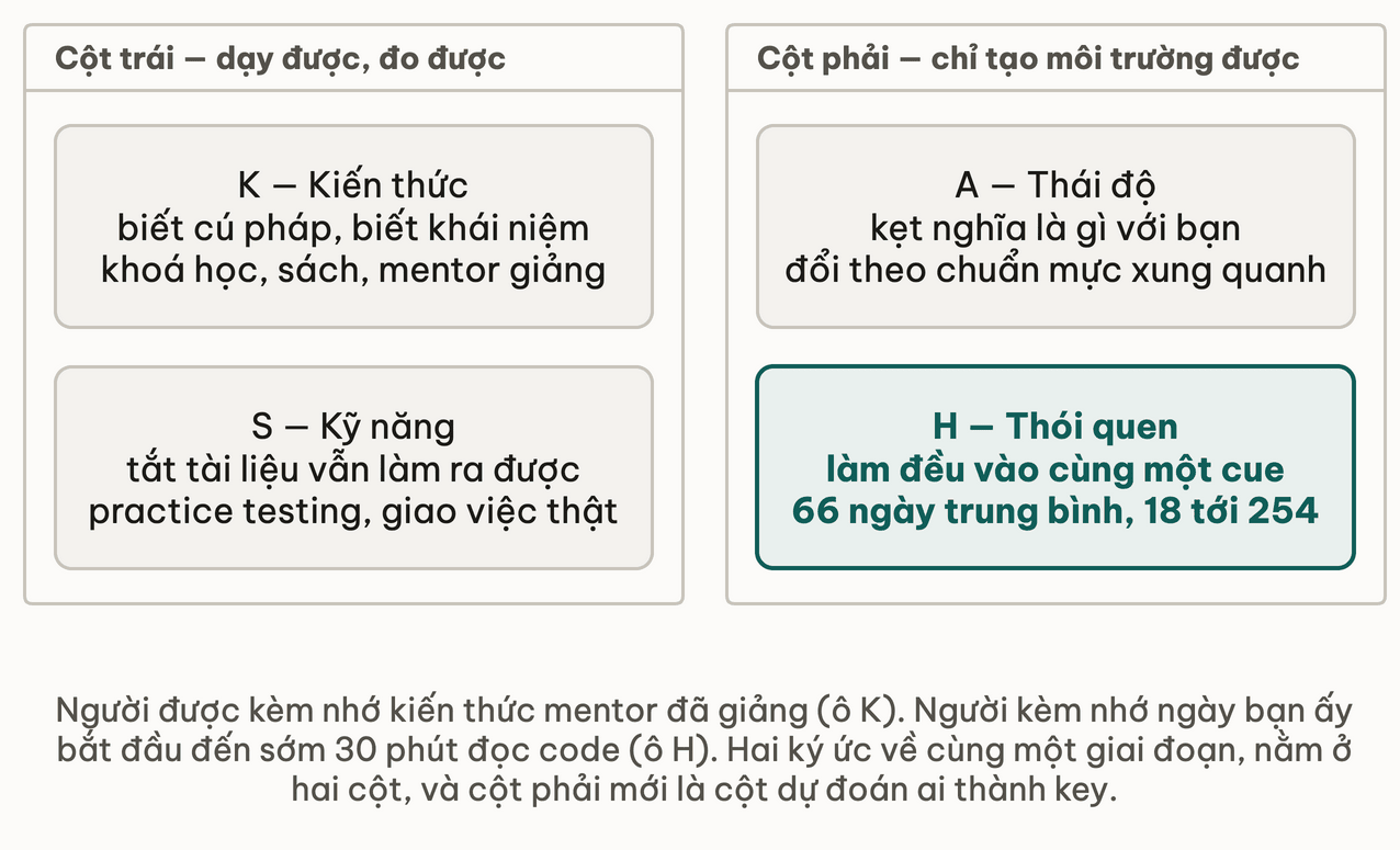 Hộp KASH nhìn từ ghế người kèm: cột trái dạy được và đo được, cột phải chỉ tạo môi trường được