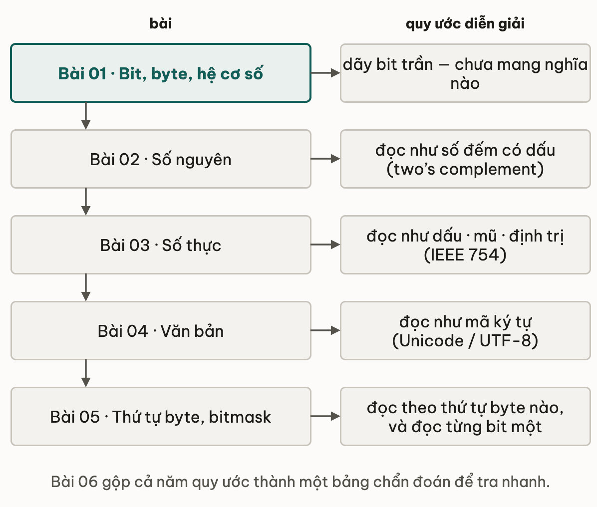 Năm bài của module xếp dọc, mỗi bài kèm quy ước diễn giải bit của nó: bit byte hệ cơ số cho dãy bit trần chưa mang nghĩa; số nguyên đọc như số đếm có dấu; số thực đọc như dấu, mũ và định trị; văn bản đọc như mã ký tự; bài cuối đọc theo thứ tự byte và theo từng bit