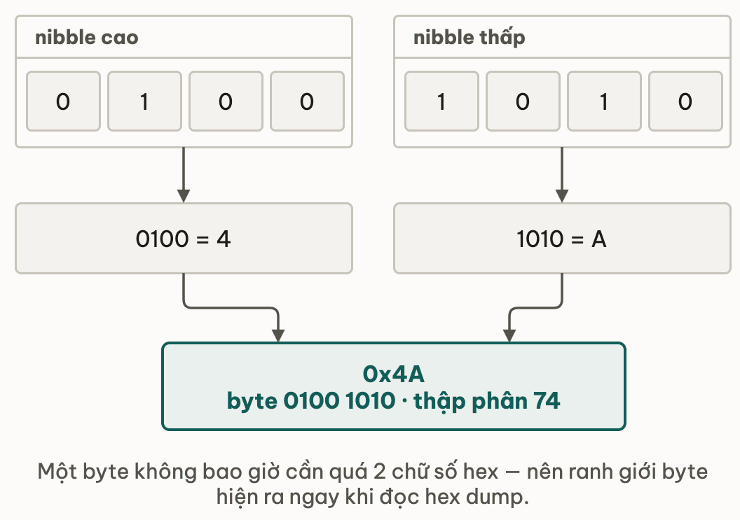 Byte 0100 1010 chẻ tại ranh giới nibble thành hai nửa bốn bit: nửa cao 0100 cho chữ số hex 4, nửa thấp 1010 cho chữ số hex A, gộp lại thành 0x4A tức thập phân 74 — một byte không bao giờ cần quá hai chữ số hex