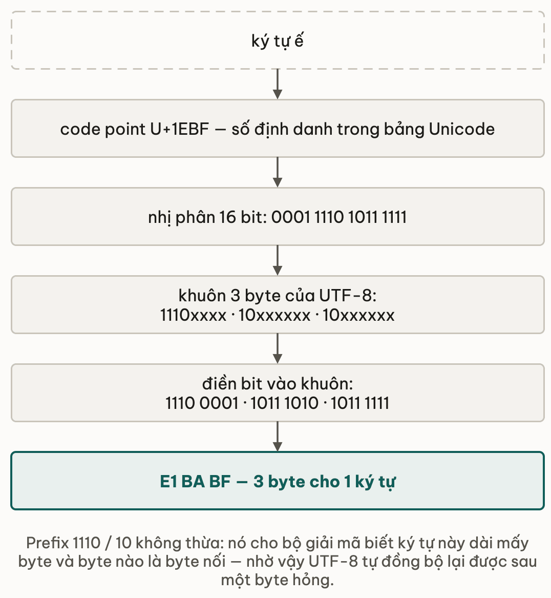 Đường đi của ký tự ế qua UTF-8: ký tự cho code point U+1EBF, đổi ra 16 bit nhị phân 0001 1110 1011 1111, điền vào khuôn ba byte 1110xxxx 10xxxxxx 10xxxxxx, ra ba byte E1 BA BF; prefix 1110 và 10 cho bộ giải mã biết ký tự dài mấy byte và byte nào là byte nối