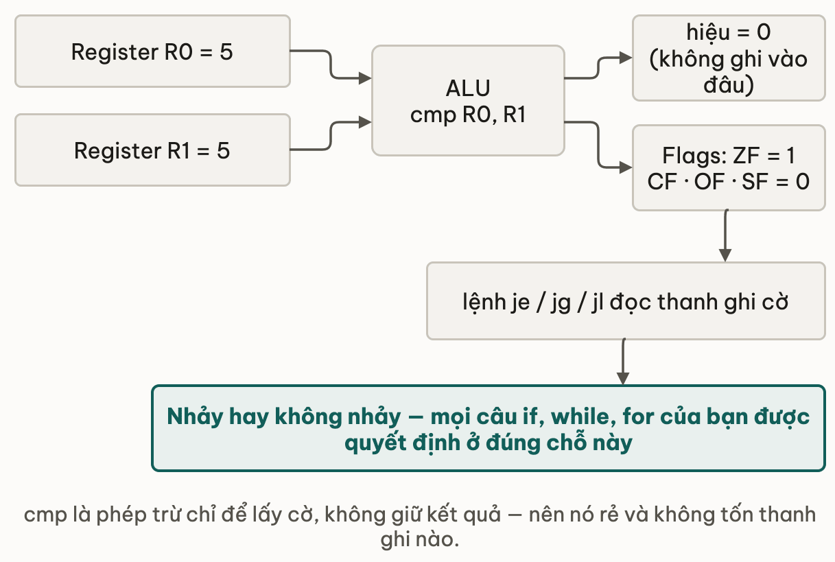 Hai register cùng giá trị 5 đi vào ALU thực hiện cmp: hiệu bằng 0 không được ghi vào đâu, còn thanh ghi cờ nhận ZF bằng 1 với CF, OF, SF bằng 0; lệnh je, jg, jl đọc thanh ghi cờ đó và quyết định nhảy hay không — mọi câu if, while, for được quyết định ở đúng chỗ này