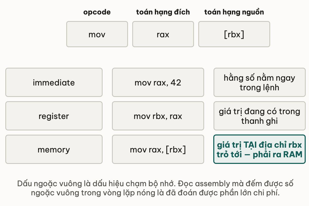 Lệnh mov rax [rbx] chẻ thành opcode, toán hạng đích và toán hạng nguồn; bên dưới là ba loại toán hạng: immediate với mov rax 42 lấy hằng số nằm ngay trong lệnh, register với mov rbx rax lấy giá trị đang có trong thanh ghi, memory với mov rax [rbx] lấy giá trị tại địa chỉ rbx trỏ tới nên phải ra RAM — dấu ngoặc vuông là dấu hiệu chạm bộ nhớ