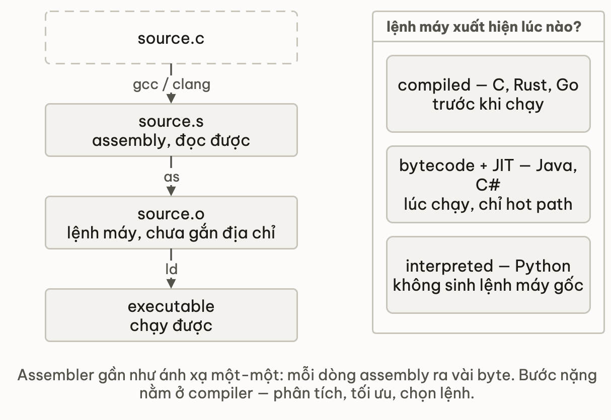 Dây chuyền bốn bước source.c qua gcc thành source.s assembly đọc được, qua as thành source.o lệnh máy chưa gắn địa chỉ, qua ld thành executable chạy được; cột bên phải trả lời lệnh máy xuất hiện lúc nào trong ba mô hình: compiled với C, Rust, Go thì trước khi chạy; bytecode cộng JIT với Java, C# thì lúc chạy và chỉ hot path; interpreted với Python thì không sinh lệnh máy gốc
