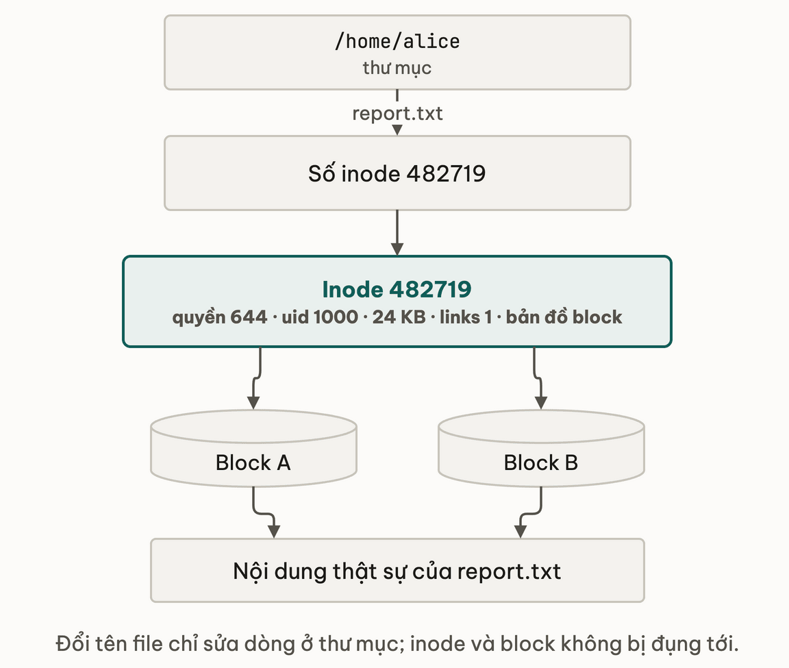Thu muc giu ten file, inode giu metadata, block giu noi dung