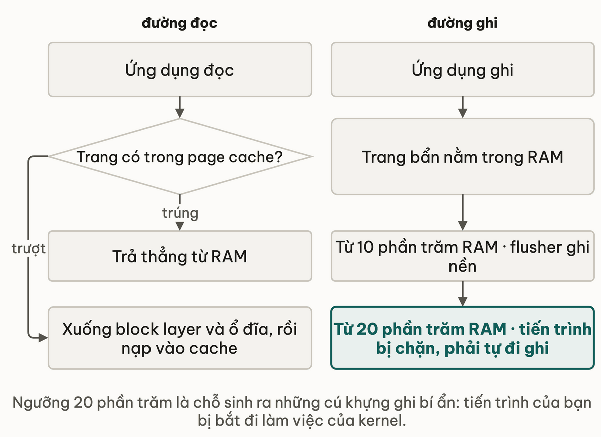 Duong doc re theo trung hoac truot cache, duong ghi re theo hai nguong trang ban