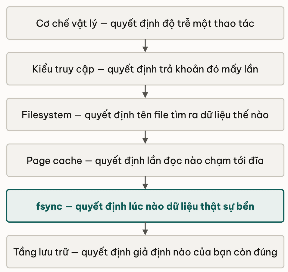 Chuoi sau khai niem cua module, moi cai quyet dinh mot cau hoi