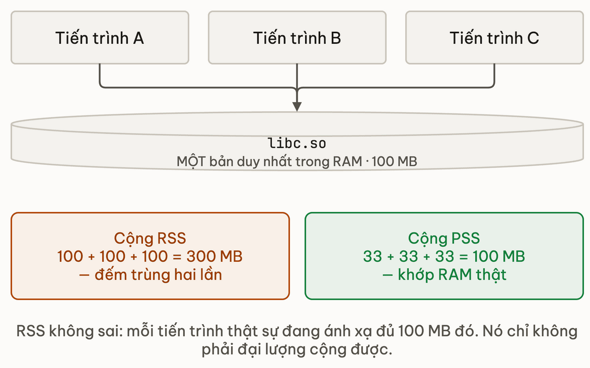 Ba tien trinh dung chung mot thu vien, RSS dem tron con PSS chia deu phan chung