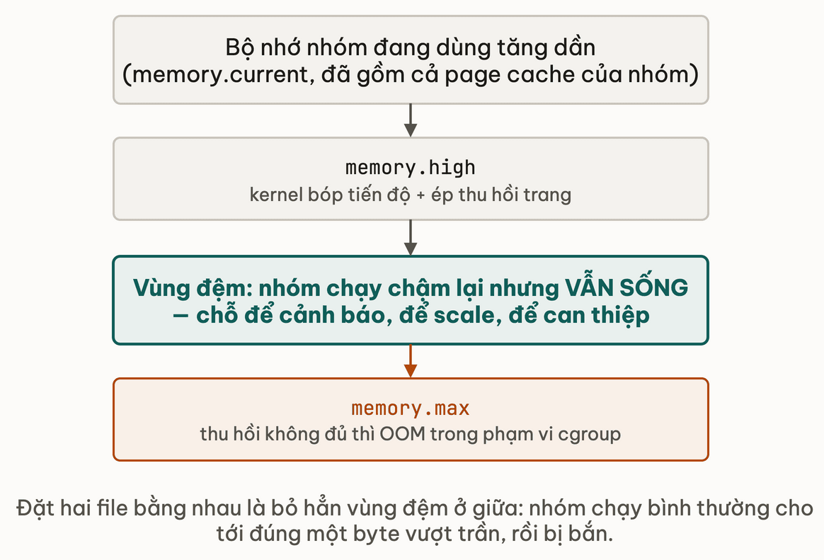 Hai muc tran bo nho, mot muc bop lai va mot muc giet han