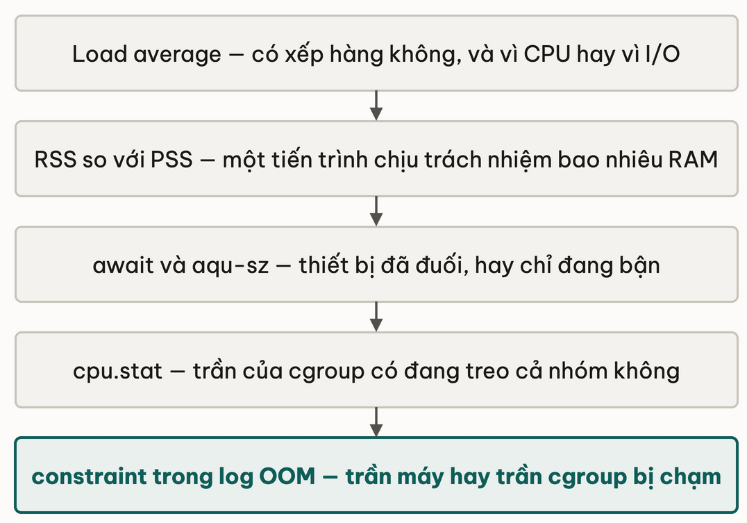 Nam chi so cua module, moi cai kem cau hoi no that su tra loi