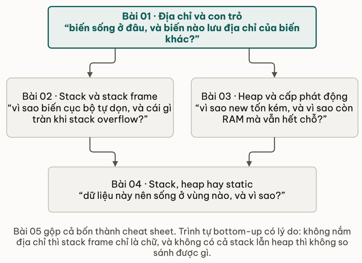 Bốn bài của module vẽ theo dạng rẽ nhánh: bài địa chỉ và con trỏ là gốc, trả lời biến sống ở đâu và biến nào lưu địa chỉ của biến khác; từ đó rẽ song song sang bài stack và stack frame, và bài heap với cấp phát động; hai nhánh hợp lại ở bài chọn stack, heap hay static