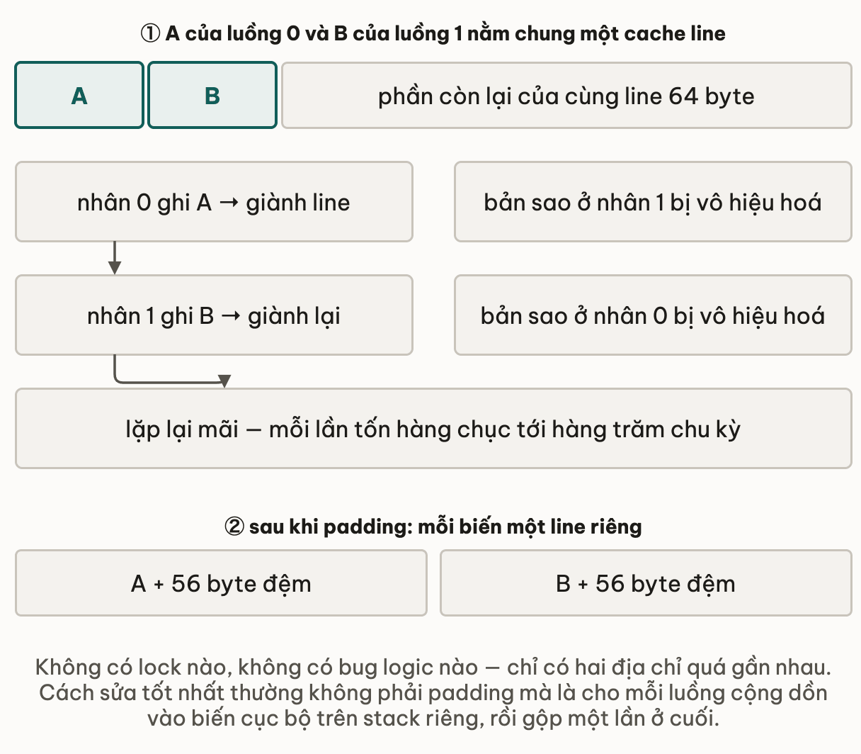 Biến A của luồng 0 và biến B của luồng 1 nằm chung một cache line 64 byte: nhân 0 ghi A thì giành line và vô hiệu hoá bản sao ở nhân 1, nhân 1 ghi B thì giành lại và vô hiệu hoá bản sao ở nhân 0, lặp lại mãi và mỗi lần tốn hàng chục tới hàng trăm chu kỳ; sau khi padding mỗi biến kèm 56 byte đệm thì hai biến nằm trên hai line riêng