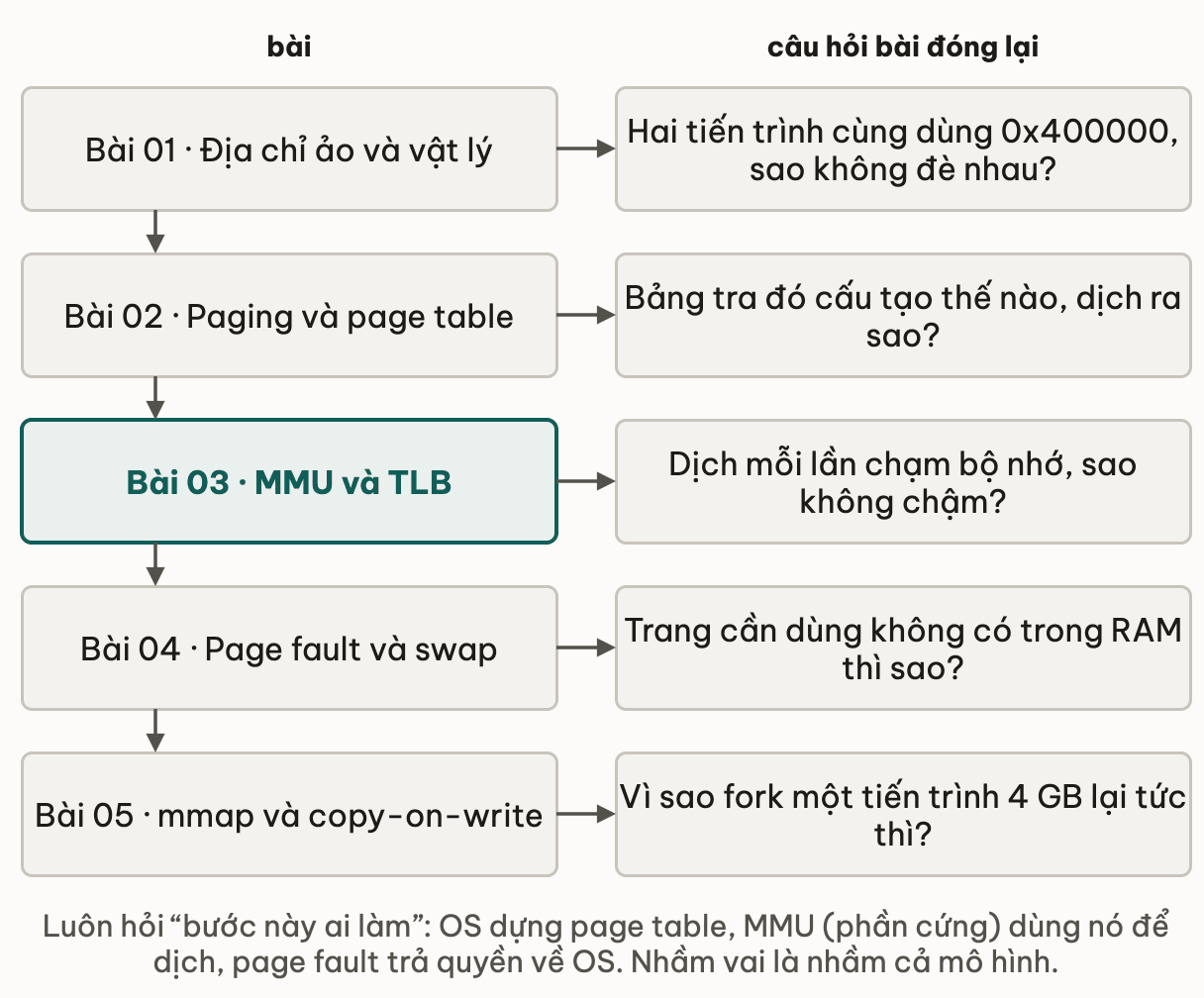 Năm bài của module kèm câu hỏi mỗi bài đóng lại: địa chỉ ảo và vật lý trả lời vì sao hai tiến trình cùng dùng 0x400000 mà không đè nhau; paging và page table trả lời bảng tra cấu tạo thế nào; MMU và TLB trả lời dịch mỗi lần chạm bộ nhớ sao không chậm; page fault và swap trả lời trang không có trong RAM thì sao; mmap và copy-on-write trả lời vì sao fork một tiến trình 4 GB lại tức thì