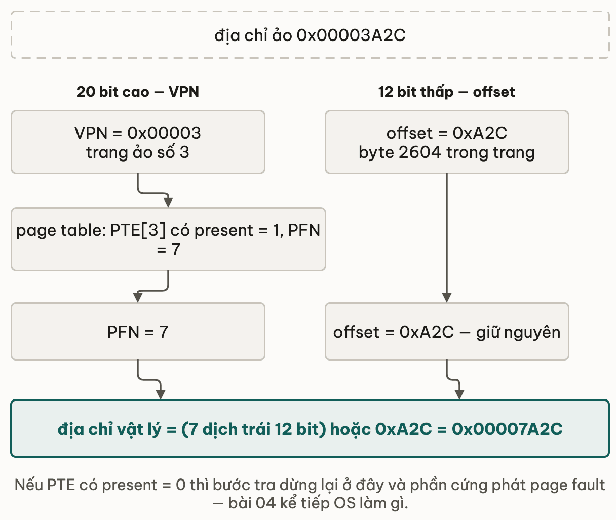 Địa chỉ ảo 0x00003A2C tách thành 20 bit cao là VPN bằng 3 và 12 bit thấp là offset 0xA2C: nhánh VPN đi tra page table, thấy PTE số 3 có present bằng 1 và PFN bằng 7; nhánh offset đi thẳng xuống không đổi; ghép PFN dịch trái 12 bit với offset ra địa chỉ vật lý 0x00007A2C