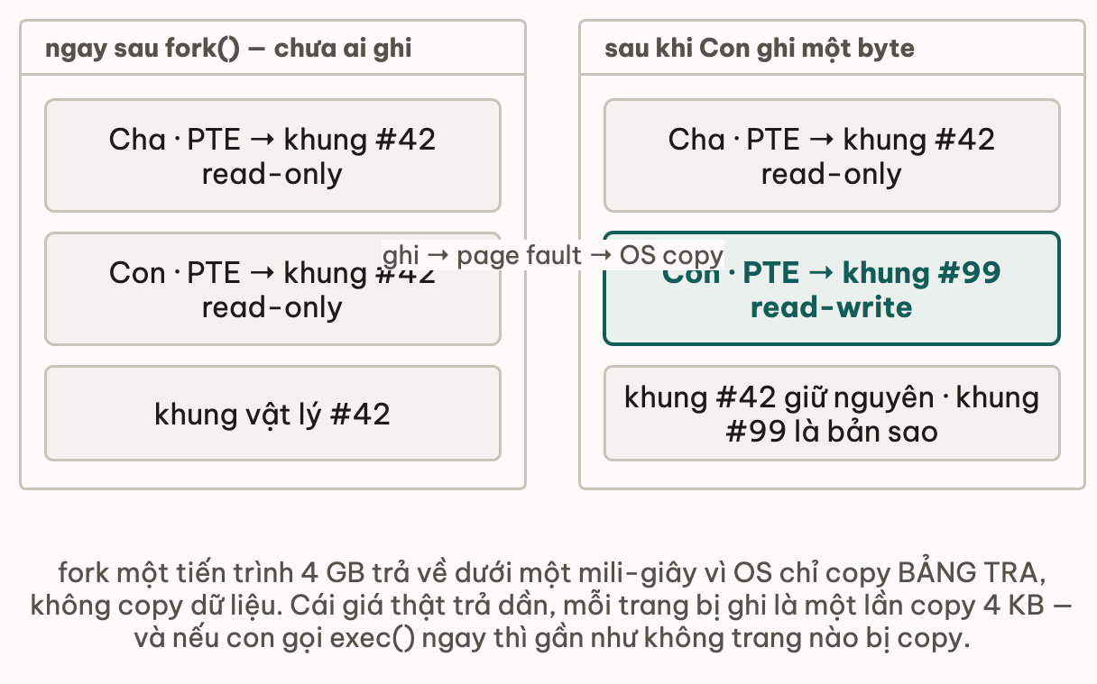Copy-on-write vẽ hai trạng thái: ngay sau fork thì cả cha và con đều có PTE trỏ vào khung vật lý số 42 và cùng đánh dấu read-only; sau khi con ghi một byte thì page fault kích OS copy, cha vẫn trỏ khung 42 read-only còn con trỏ sang khung 99 read-write là bản sao