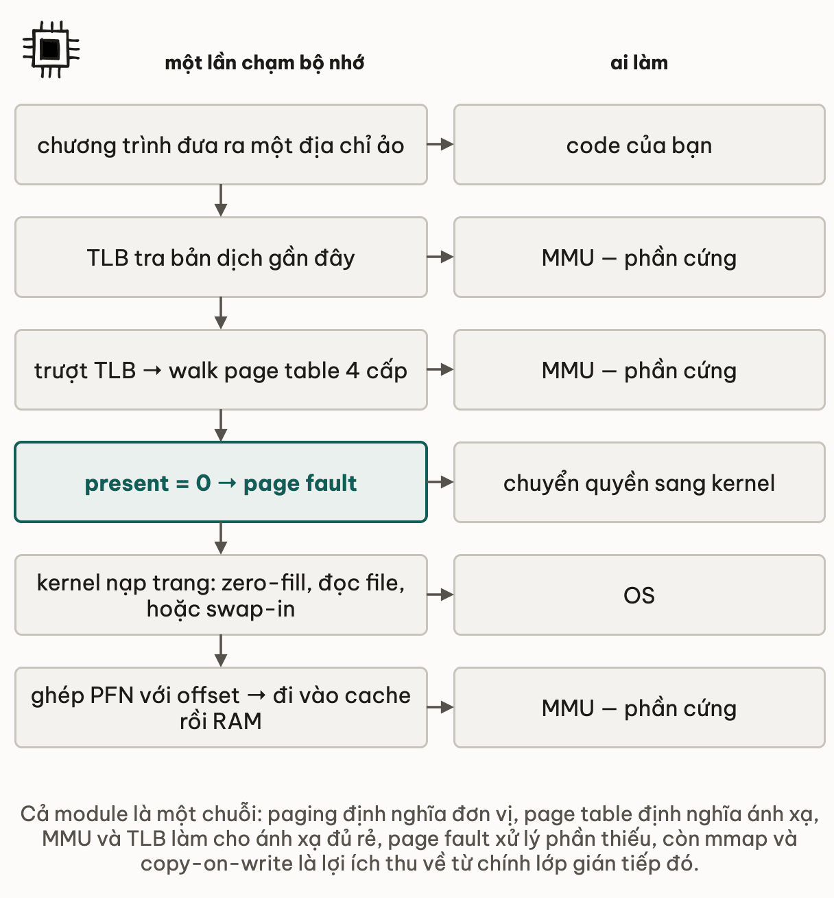 Một lần chương trình chạm bộ nhớ đi qua sáu tầng kèm ai phụ trách: code của bạn đưa ra địa chỉ ảo; MMU tra TLB; trượt TLB thì MMU walk page table 4 cấp; present bằng 0 thì page fault chuyển quyền sang kernel; OS nạp trang bằng zero-fill, đọc file hoặc swap-in; rồi MMU ghép PFN với offset để đi vào cache và RAM