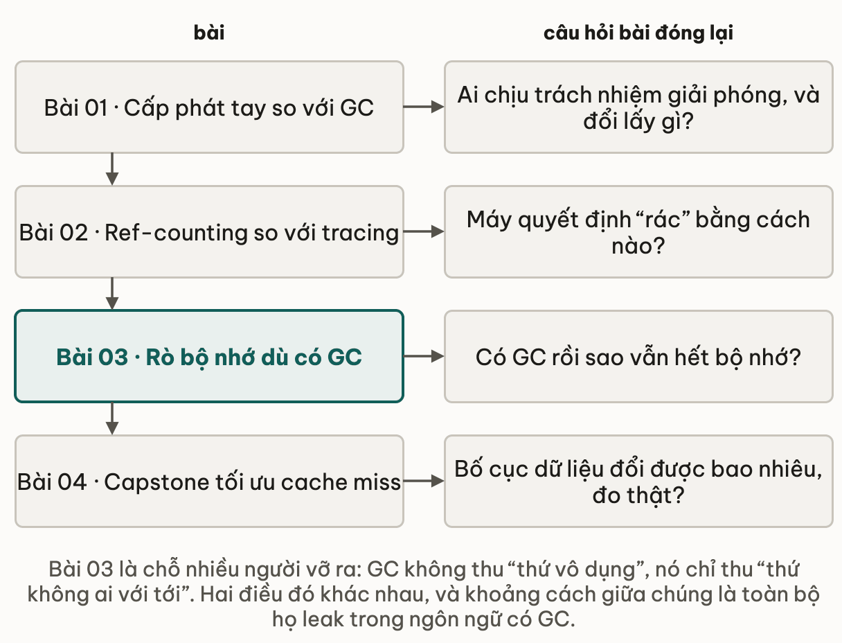 Bốn bài của module kèm câu hỏi mỗi bài đóng lại: cấp phát tay so với GC trả lời ai chịu trách nhiệm giải phóng và đổi lấy gì; ref-counting so với tracing trả lời máy quyết định rác bằng cách nào; rò bộ nhớ dù có GC trả lời có GC rồi sao vẫn hết bộ nhớ; capstone trả lời bố cục dữ liệu đổi được bao nhiêu khi đo thật