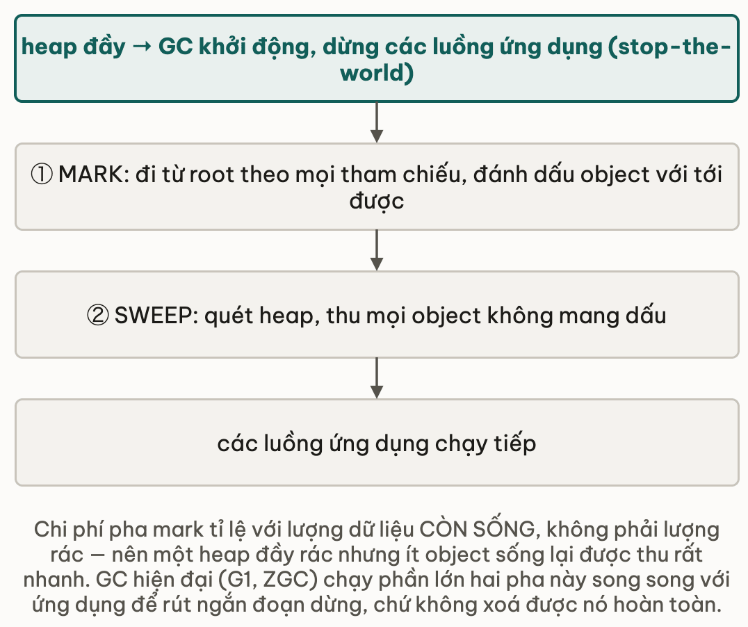 Bốn nấc của một chu kỳ tracing GC: heap đầy nên GC khởi động và dừng các luồng ứng dụng, gọi là stop-the-world; pha mark đi từ root theo mọi tham chiếu và đánh dấu object với tới được; pha sweep quét heap và thu mọi object không mang dấu; rồi các luồng ứng dụng chạy tiếp
