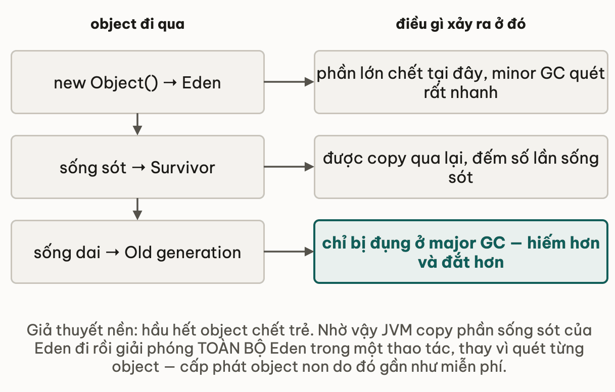 Vòng đời một object qua ba vùng heap: sinh ra ở Eden nơi phần lớn chết ngay và minor GC quét rất nhanh; sống sót thì được copy qua Survivor và đếm số lần sống sót; sống dai thì lên Old generation, chỉ bị đụng ở major GC hiếm hơn và đắt hơn