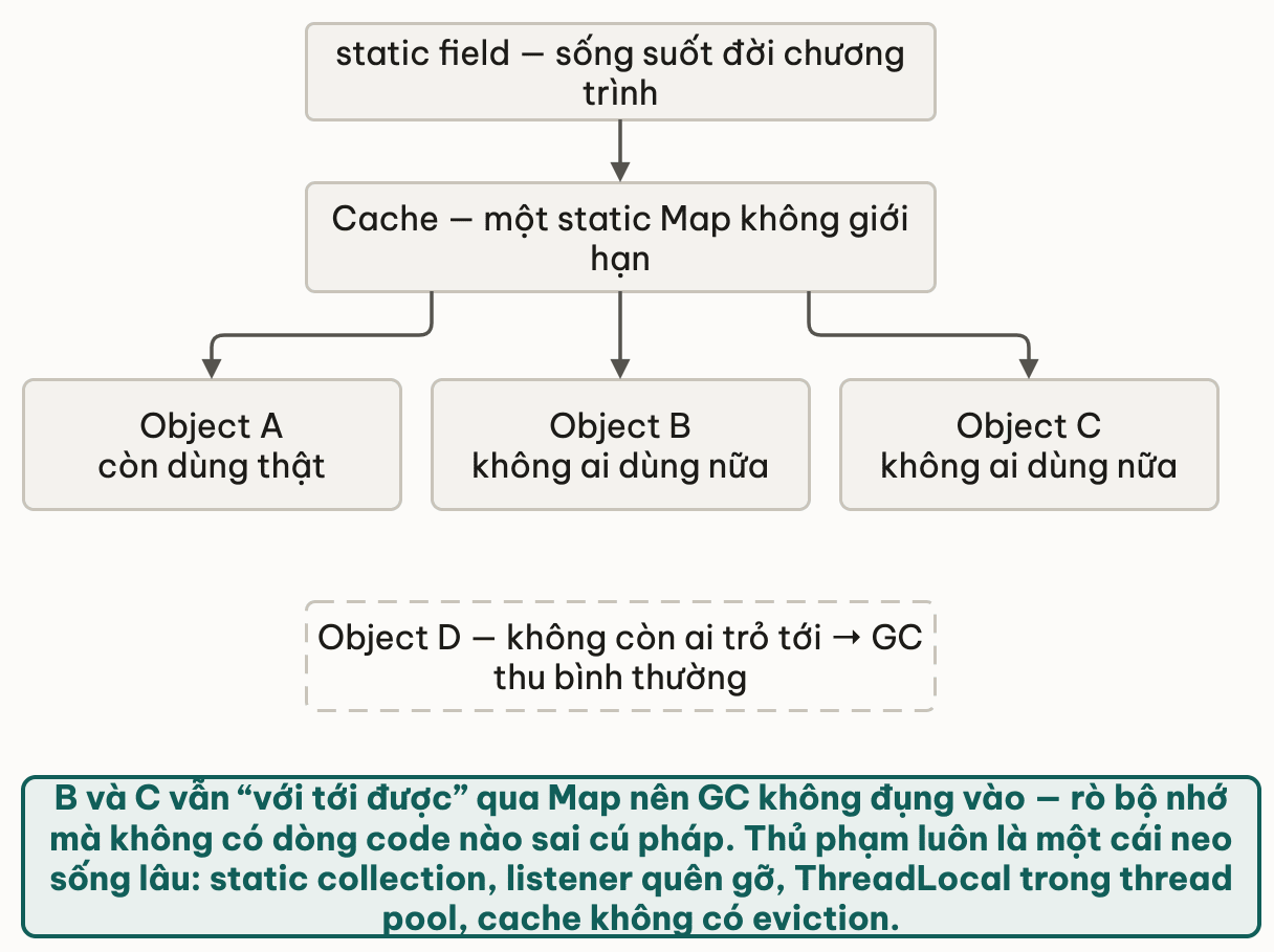 Một static field sống suốt đời chương trình giữ một Cache là static Map không giới hạn, Map này trỏ tới Object A còn dùng thật cùng Object B và Object C không ai dùng nữa; cả ba đều với tới được nên GC không thu, trong khi Object D không còn ai trỏ tới thì bị thu bình thường