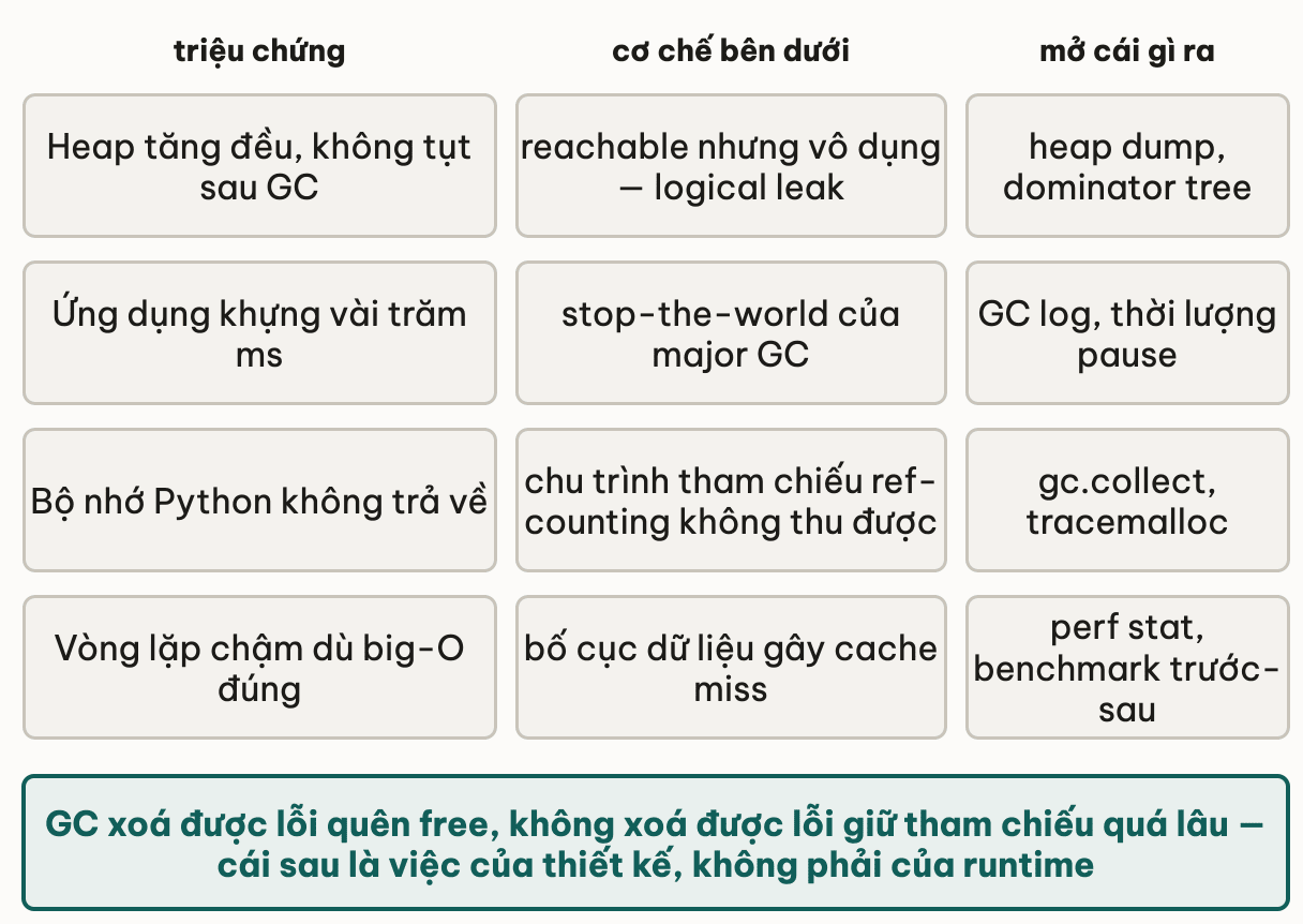 Bảng chẩn đoán ba cột triệu chứng, cơ chế bên dưới và công cụ: heap tăng đều không tụt sau GC là logical leak, mở heap dump và dominator tree; ứng dụng khựng vài trăm mili-giây là stop-the-world của major GC, xem GC log; bộ nhớ Python không trả về là chu trình tham chiếu, dùng gc.collect và tracemalloc; vòng lặp chậm dù big-O đúng là cache miss do bố cục dữ liệu, dùng perf stat và benchmark trước-sau