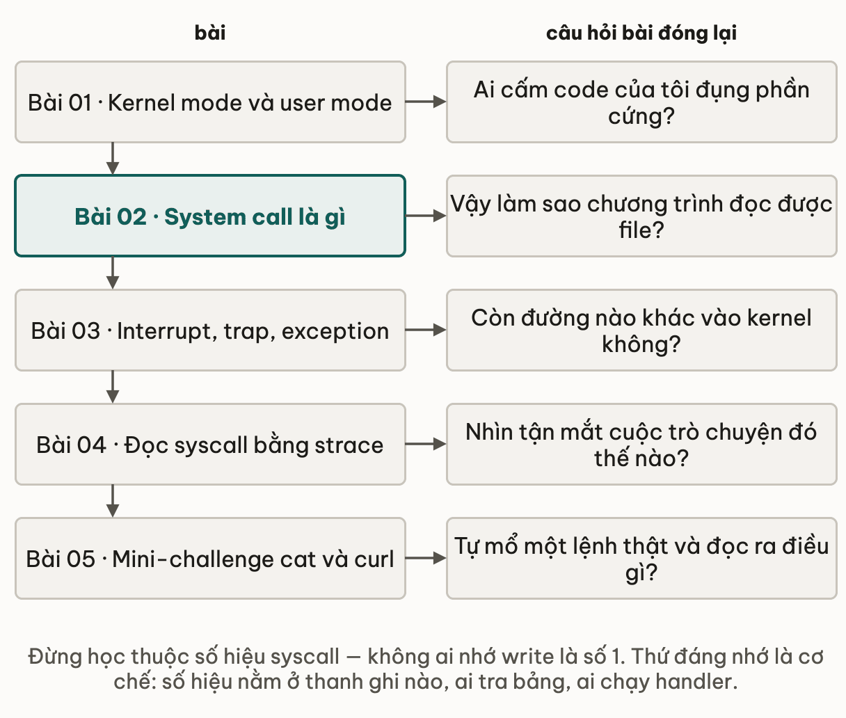 Năm bài chính của module kèm câu hỏi mỗi bài đóng lại: kernel mode và user mode trả lời ai cấm code của tôi đụng phần cứng; system call trả lời vậy làm sao chương trình đọc được file; interrupt, trap và exception trả lời còn đường nào khác vào kernel; strace trả lời nhìn tận mắt cuộc trò chuyện đó thế nào; mini-challenge cat và curl là bài tự mổ một lệnh thật