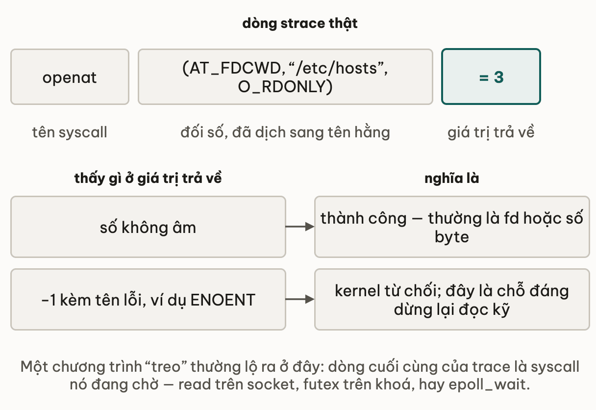 Một dòng strace chẻ thành ba phần: tên syscall là openat, đối số đã dịch sang tên hằng gồm AT_FDCWD, đường dẫn và cờ O_RDONLY, rồi giá trị trả về bằng 3; bảng dưới cho biết số không âm là thành công thường là fd hoặc số byte, còn âm 1 kèm tên lỗi như ENOENT là chỗ đáng dừng lại đọc kỹ