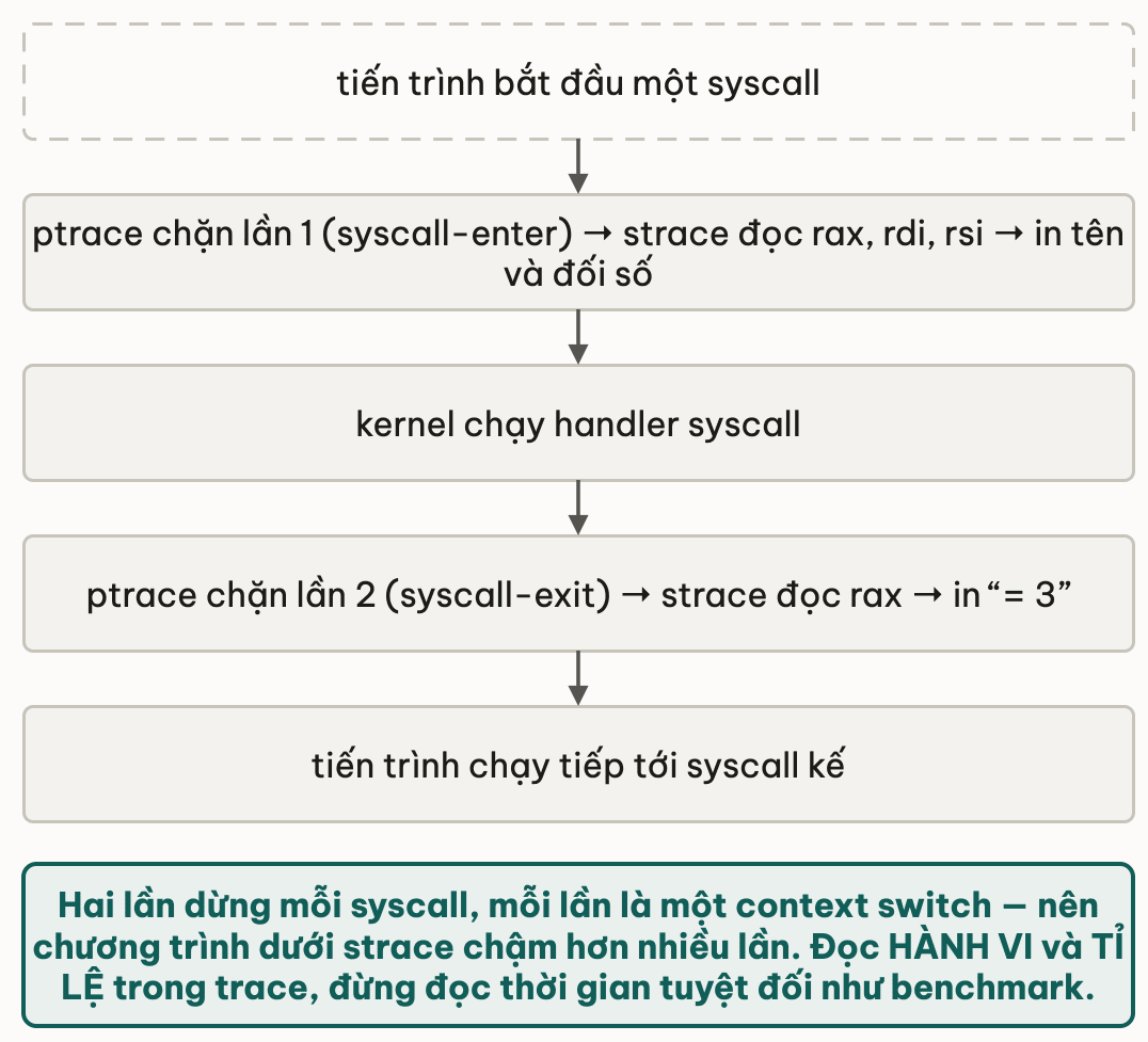 Năm nấc của cơ chế strace: tiến trình bắt đầu một syscall; ptrace chặn lần một ở syscall-enter để strace đọc rax, rdi, rsi rồi in tên và đối số; kernel chạy handler; ptrace chặn lần hai ở syscall-exit để strace đọc rax rồi in giá trị trả về; tiến trình chạy tiếp tới syscall kế — hai lần dừng mỗi syscall khiến chương trình chậm hơn nhiều lần