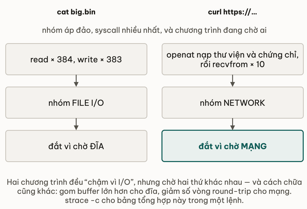 Hai hồ sơ syscall đặt cạnh nhau: cat gọi read 384 lần và write 383 lần, thuộc nhóm file I/O, đắt vì chờ đĩa; curl gọi openat để nạp thư viện và chứng chỉ rồi recvfrom 10 lần, thuộc nhóm network, đắt vì chờ mạng