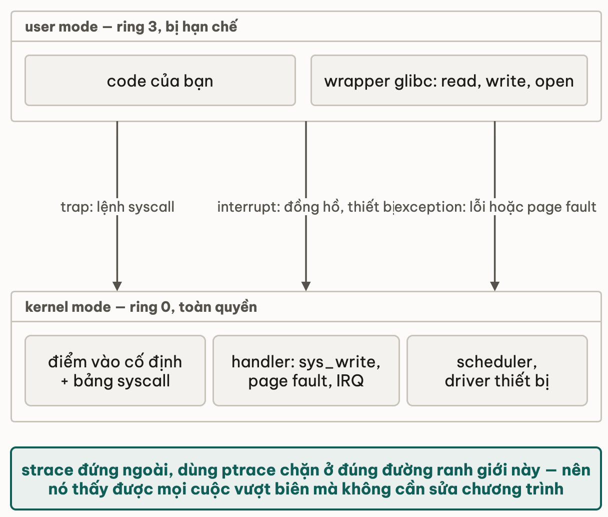 Cả module vẽ trên một đường ranh giới: phía trên là user mode ring 3 bị hạn chế gồm code của bạn và wrapper glibc; phía dưới là kernel mode ring 0 toàn quyền gồm điểm vào cố định với bảng syscall, các handler, scheduler và driver thiết bị; ba mũi tên bắc qua ranh giới là trap từ lệnh syscall, interrupt từ đồng hồ và thiết bị, exception từ lỗi hoặc page fault