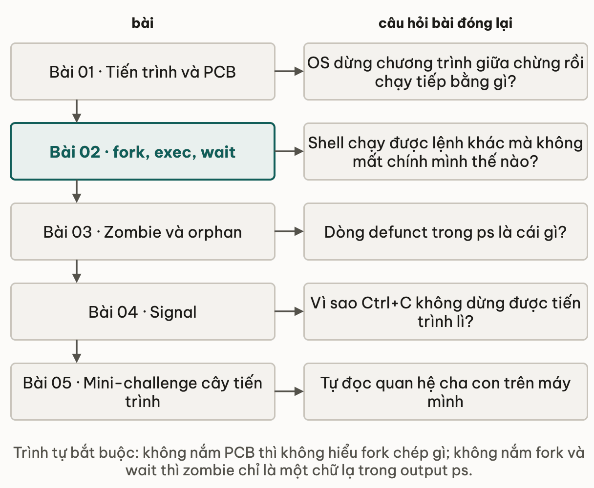 Năm bài chính của module kèm câu hỏi mỗi bài đóng lại: tiến trình và PCB trả lời OS dừng chương trình giữa chừng rồi chạy tiếp bằng gì; fork, exec, wait trả lời shell chạy được lệnh khác mà không mất chính mình thế nào; zombie và orphan trả lời dòng defunct trong ps là cái gì; signal trả lời vì sao Ctrl+C không dừng được tiến trình lì; mini-challenge là bài tự đọc quan hệ cha con trên máy mình