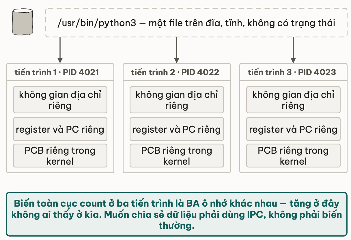 Một file python3 trên đĩa sinh ra ba tiến trình độc lập với PID 4021, 4022 và 4023; mỗi tiến trình có không gian địa chỉ riêng, register và program counter riêng, PCB riêng trong kernel — nên biến toàn cục trùng tên ở ba tiến trình là ba ô nhớ khác nhau