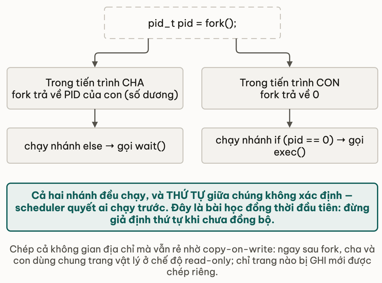 Một lời gọi fork cho hai giá trị trả về ở hai tiến trình: trong tiến trình cha fork trả về PID của con là số dương nên chạy nhánh else và gọi wait; trong tiến trình con fork trả về 0 nên chạy nhánh if và gọi exec; cả hai nhánh đều chạy và thứ tự giữa chúng không xác định