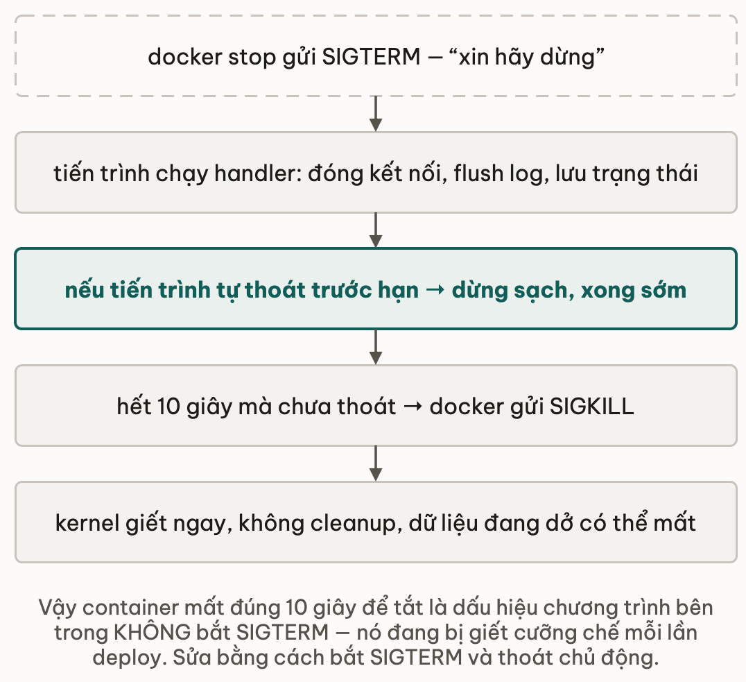 Năm nấc của graceful shutdown: docker stop gửi SIGTERM để xin dừng; tiến trình chạy handler đóng kết nối, flush log và lưu trạng thái; nếu tự thoát trước hạn thì dừng sạch và xong sớm; hết 10 giây mà chưa thoát thì docker gửi SIGKILL; kernel giết ngay, không cleanup và dữ liệu đang dở có thể mất