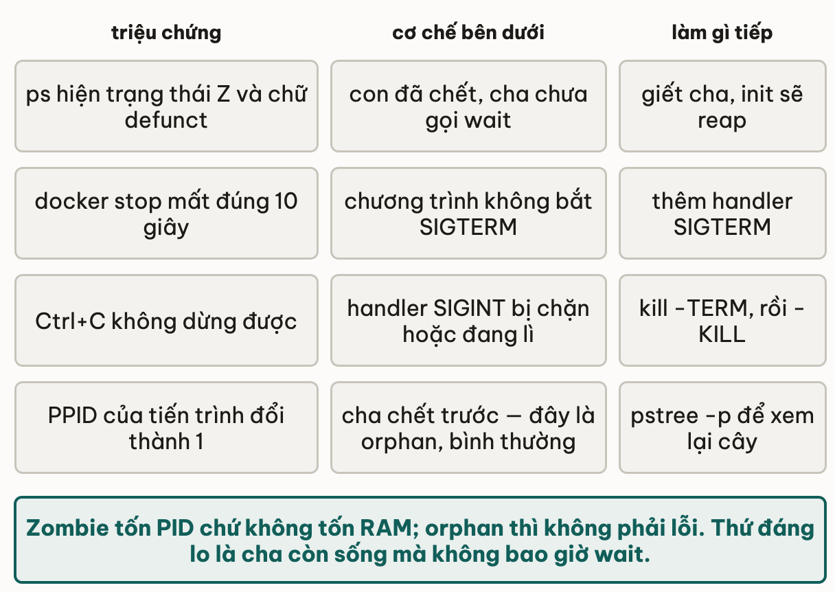 Bảng chẩn đoán ba cột triệu chứng, cơ chế và việc cần làm: ps hiện trạng thái Z với chữ defunct là con đã chết mà cha chưa wait, cách xử lý là giết cha để init reap; docker stop mất đúng 10 giây là chương trình không bắt SIGTERM, cần thêm handler; Ctrl+C không dừng được là handler SIGINT bị chặn, dùng kill TERM rồi KILL; PPID đổi thành 1 là orphan bình thường, xem lại cây bằng pstree