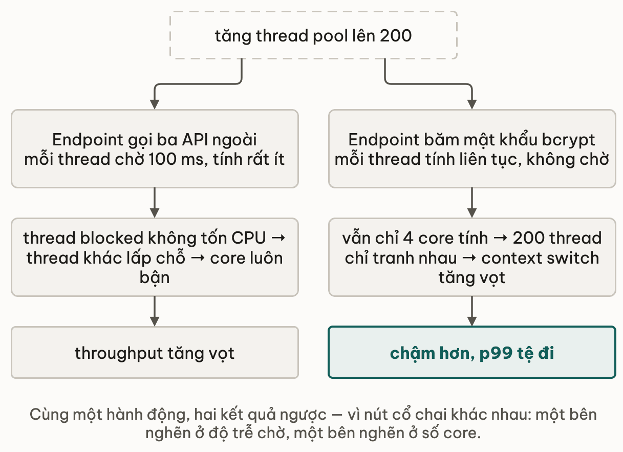 Cùng hành động tăng thread pool lên 200 cho hai kết quả ngược nhau: với endpoint gọi ba API ngoài, mỗi thread chờ 100 mili-giây và tính rất ít nên thread blocked không tốn CPU, thread khác lấp chỗ và core luôn bận, throughput tăng vọt; với endpoint băm mật khẩu bcrypt, mỗi thread tính liên tục không chờ nên vẫn chỉ 4 core tính, 200 thread chỉ tranh nhau làm context switch tăng vọt, kết quả là chậm hơn và p99 tệ đi