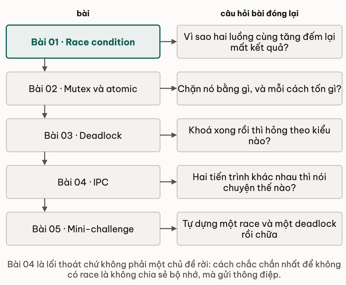 Năm bài của module kèm câu hỏi mỗi bài đóng lại: race condition trả lời vì sao hai luồng cùng tăng đếm lại mất kết quả; mutex và atomic trả lời chặn nó bằng gì và mỗi cách tốn gì; deadlock trả lời khoá xong rồi thì hỏng theo kiểu nào; IPC trả lời hai tiến trình khác nhau nói chuyện thế nào; mini-challenge là bài tự dựng một race và một deadlock rồi chữa