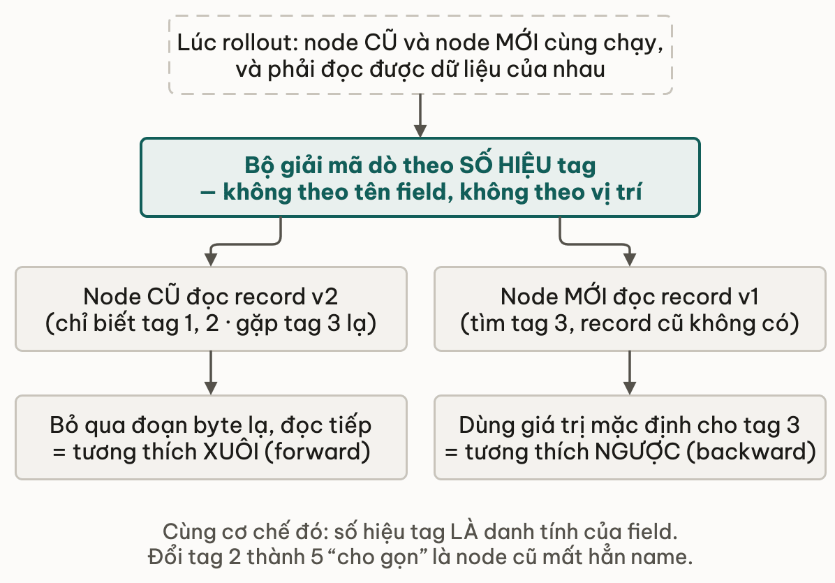 Bo giai ma do theo so hieu tag re thanh tuong thich xuoi va tuong thich nguoc