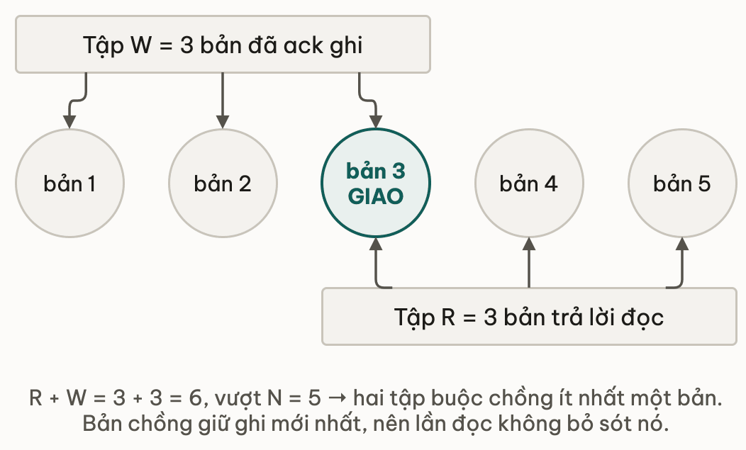 Nam ban voi tap W va tap R phu len nhau, ban chong o giua