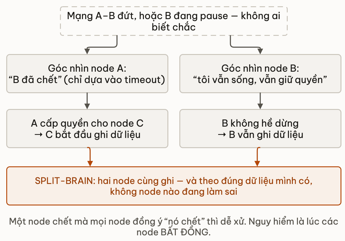 Hai goc nhin mau thuan dan toi split-brain