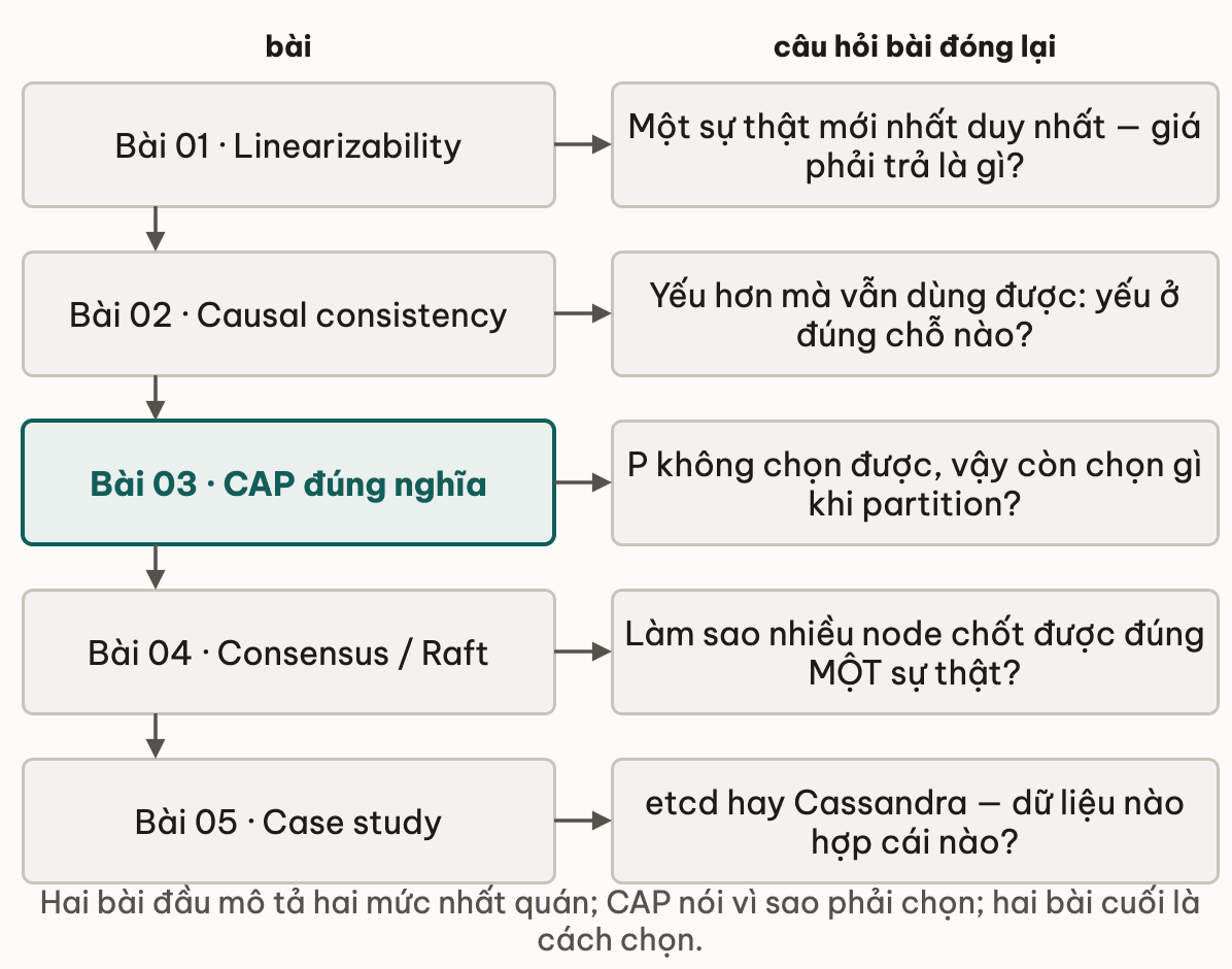 Nam bai cua module xep canh cau hoi ma moi bai dong lai