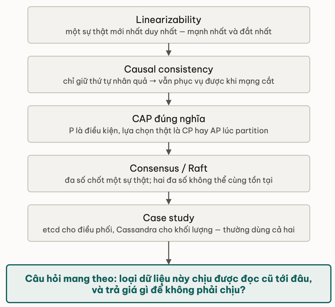Nam buoc cua module khep lai bang mot cau hoi mang theo