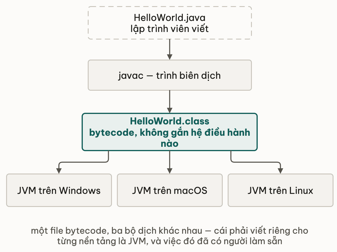 Source code qua javac thành một file bytecode duy nhất, rồi từ đó toả ra ba máy ảo Java trên Windows, macOS và Linux