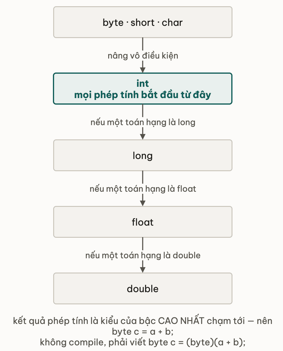 Thang nâng kiểu trong biểu thức: byte, short, char luôn được nâng lên int trước, rồi lên long, float, double tuỳ theo toán hạng rộng nhất trong phép tính